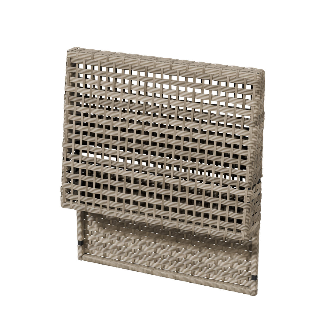 CBM-P1-A-Part C Back Panel