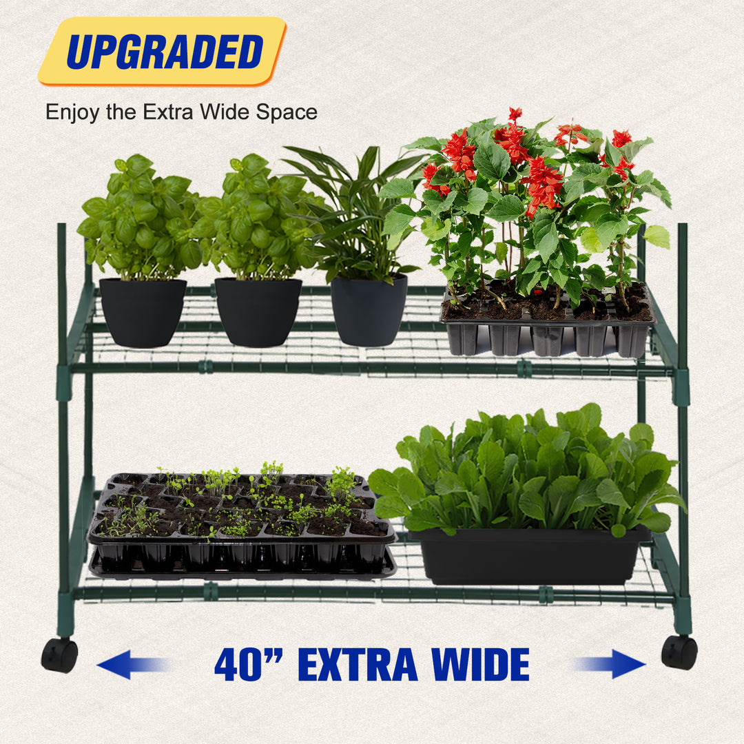 COOS BAY 40in Extra Wide 4-Tier Mini Greenhouse with Casters, Indoor Outdoor Portable Plant Green House with Roll-up Zipper Door, Patio, Garden, Balcony, Backyard, Home Growing, Green