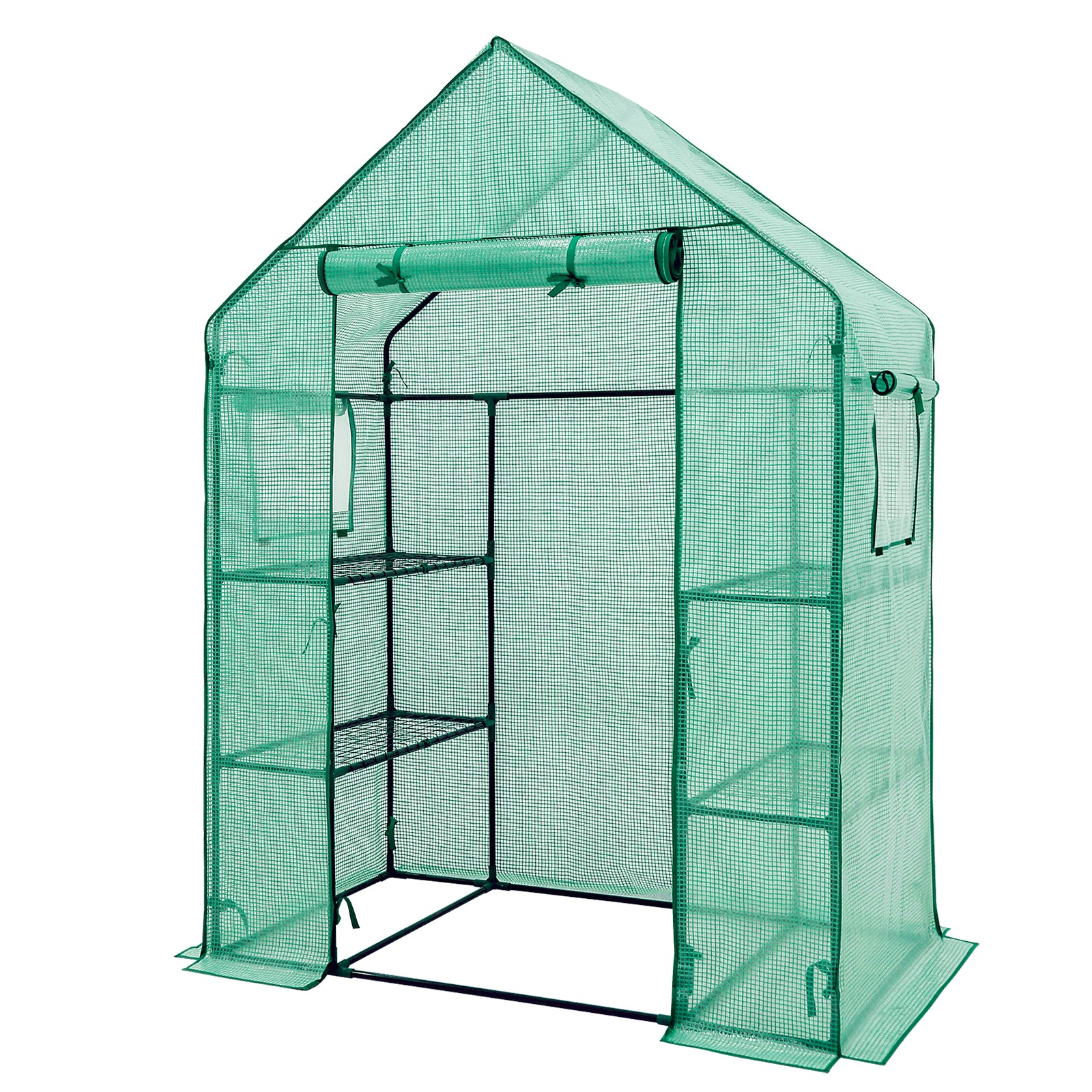 Walk in Mini Greenhouse with Windows, 57x29x77 Inch_ CBGH11S