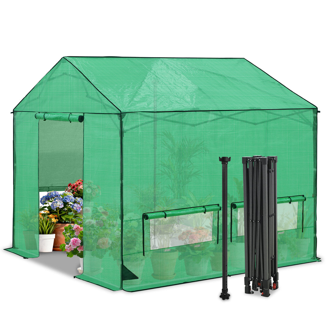 6x6/ 8x8 /10x10 FT Portable Walk-in Greenhouse with Power Access Ports