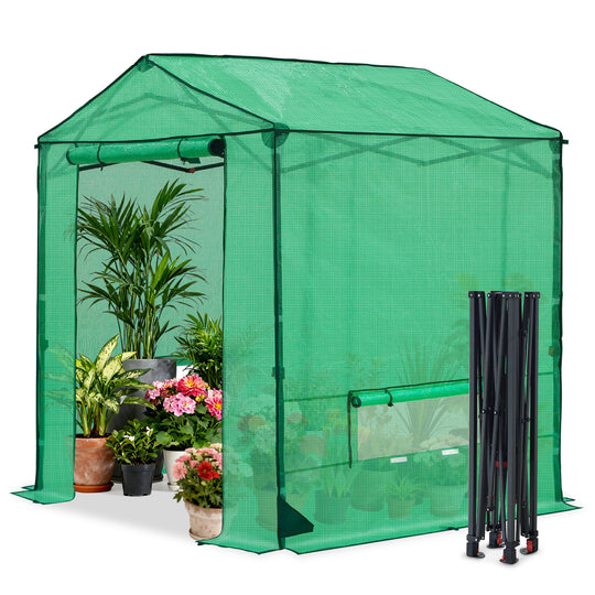 6x6/ 8x8 /10x10 FT Portable Walk-in Greenhouse with Power Access Ports