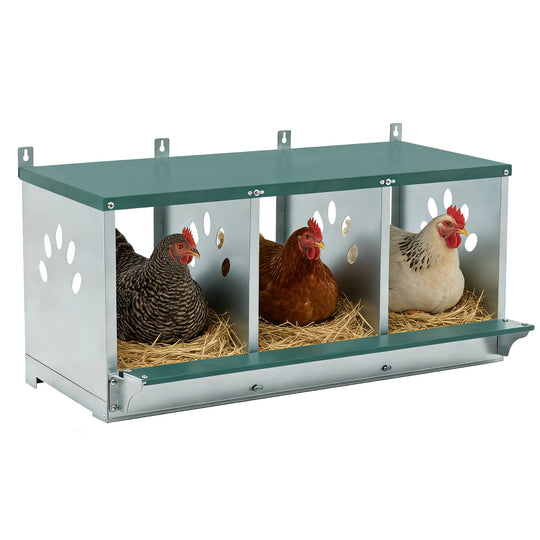 COOS BAY Metal Chicken Nesting Box, Green