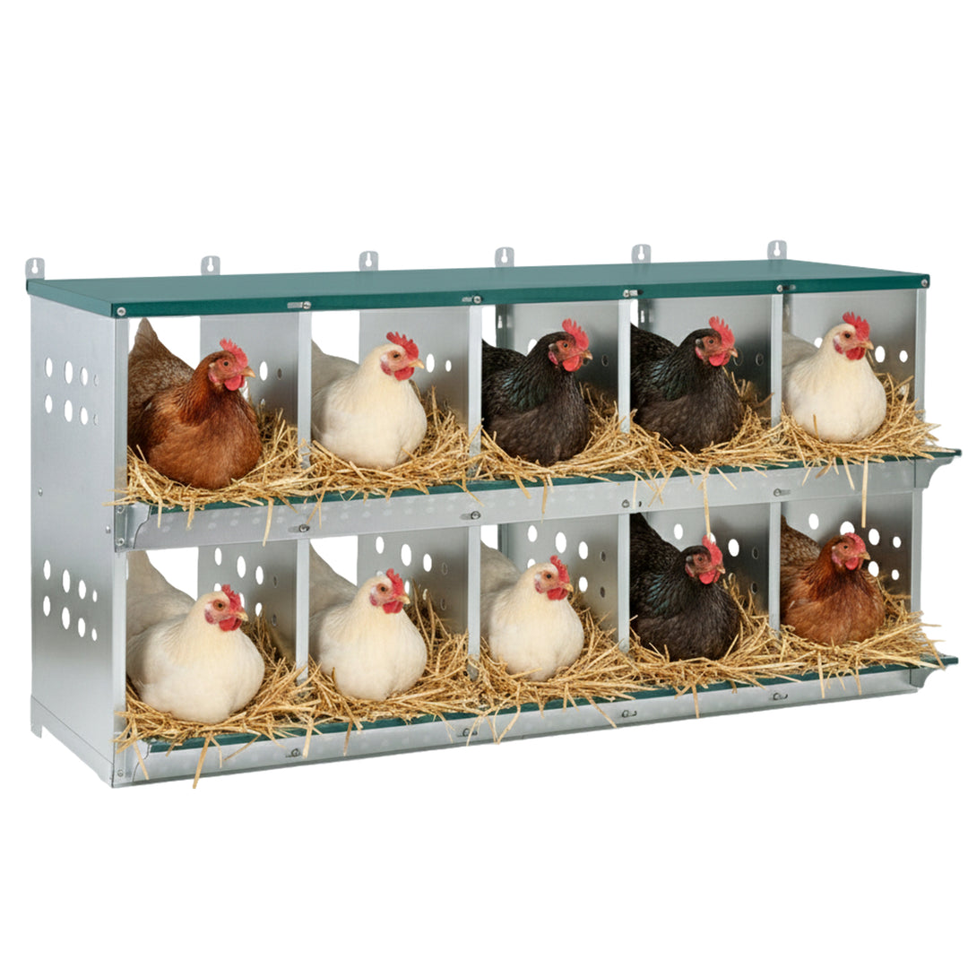 COOS BAY Metal Chicken Nesting Box, Green
