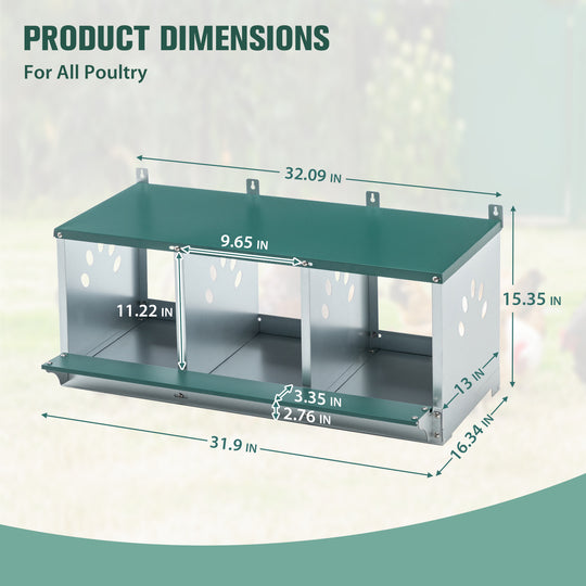 COOS BAY Metal Chicken Nesting Box, Green