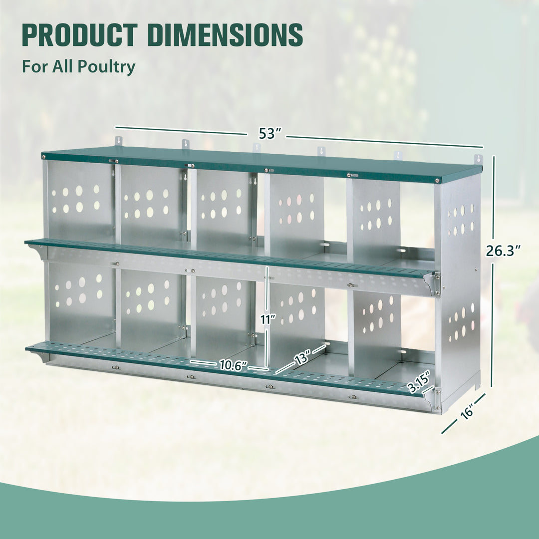 COOS BAY Metal Chicken Nesting Box, Green