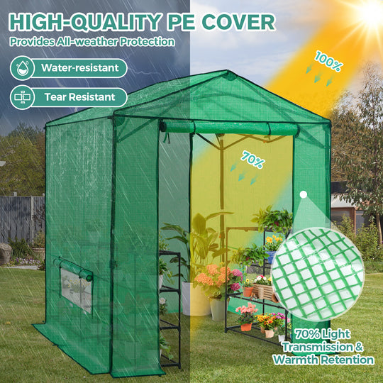 6x6/ 8x8 /10x10 FT Portable Walk-in Greenhouse with Power Access Ports