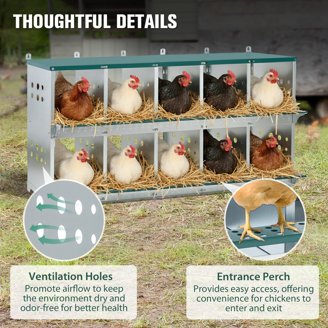 COOS BAY Metal Chicken Nesting Box, Green