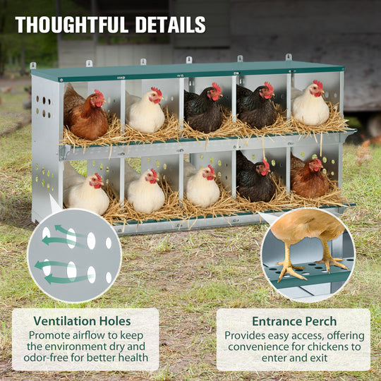 COOS BAY Metal Chicken Nesting Box, Green
