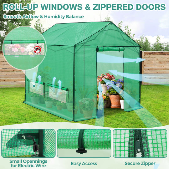 6x6/ 8x8 /10x10 FT Portable Walk-in Greenhouse with Power Access Ports
