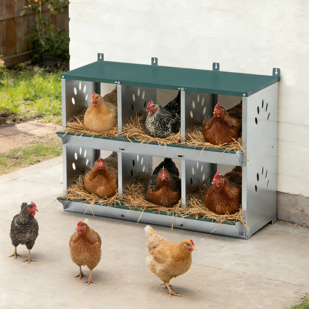 COOS BAY Metal Chicken Nesting Box, Green