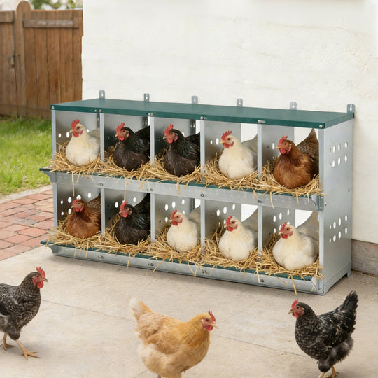 COOS BAY Metal Chicken Nesting Box, Green