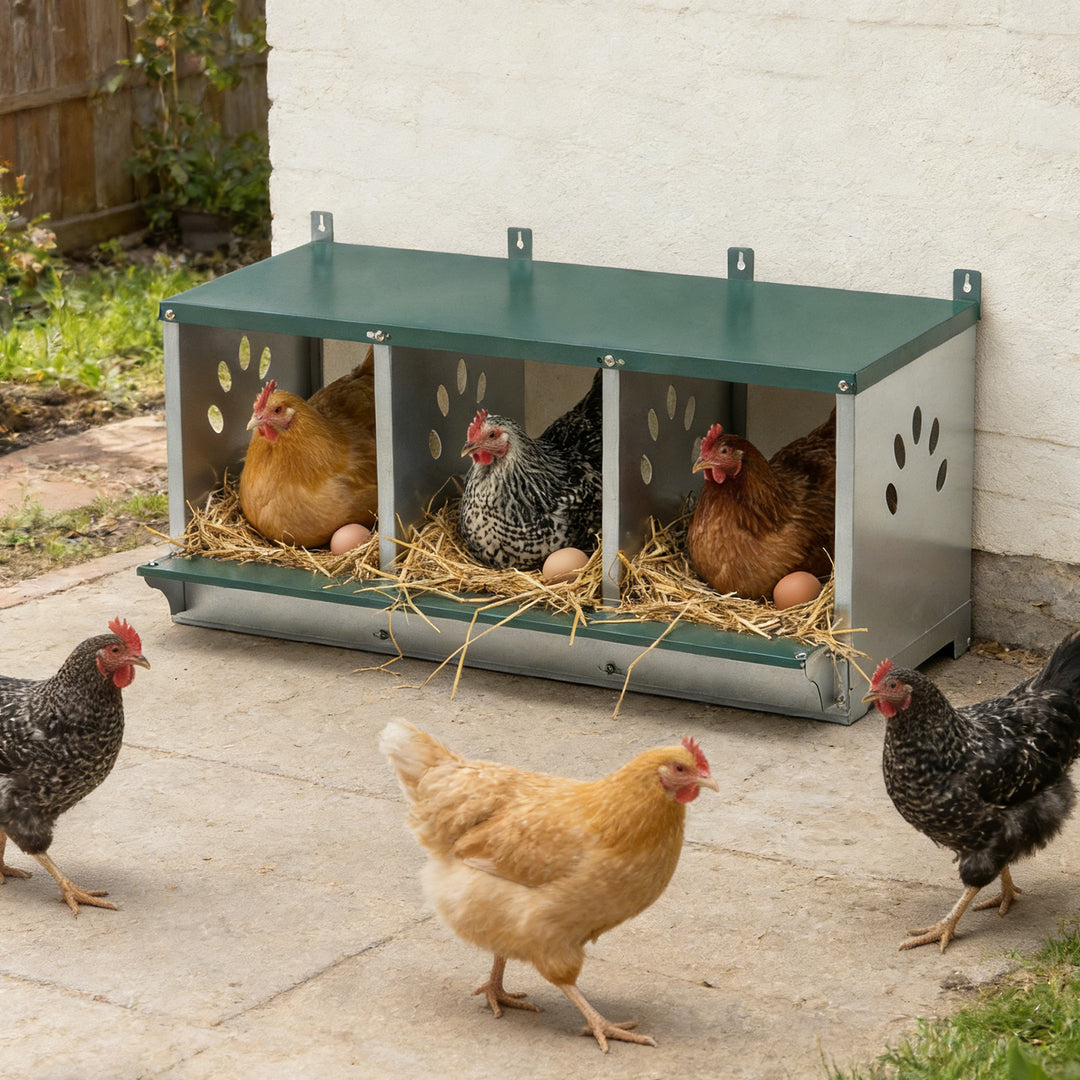 COOS BAY Metal Chicken Nesting Box, Green