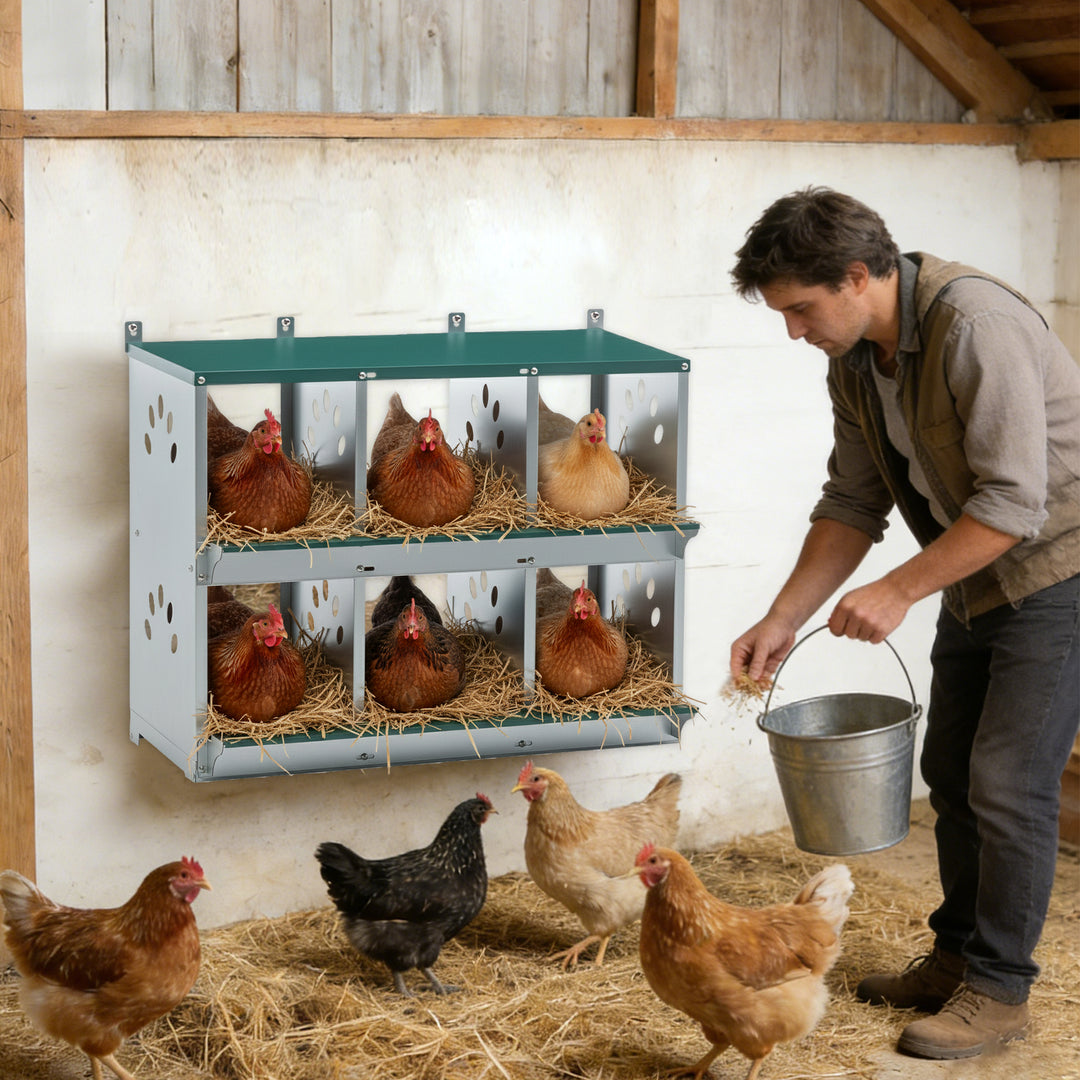 COOS BAY Metal Chicken Nesting Box, Green