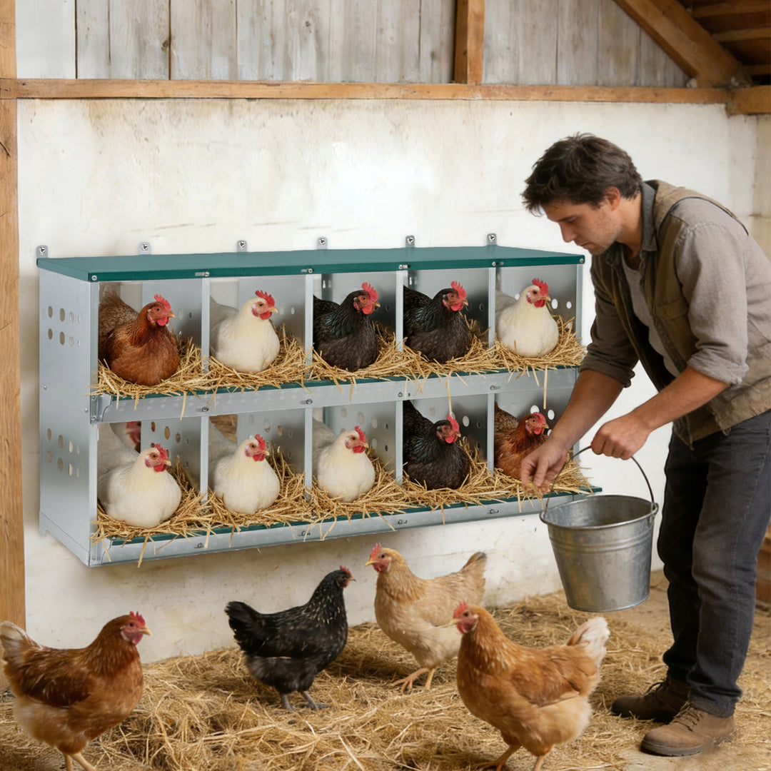 COOS BAY Metal Chicken Nesting Box, Green