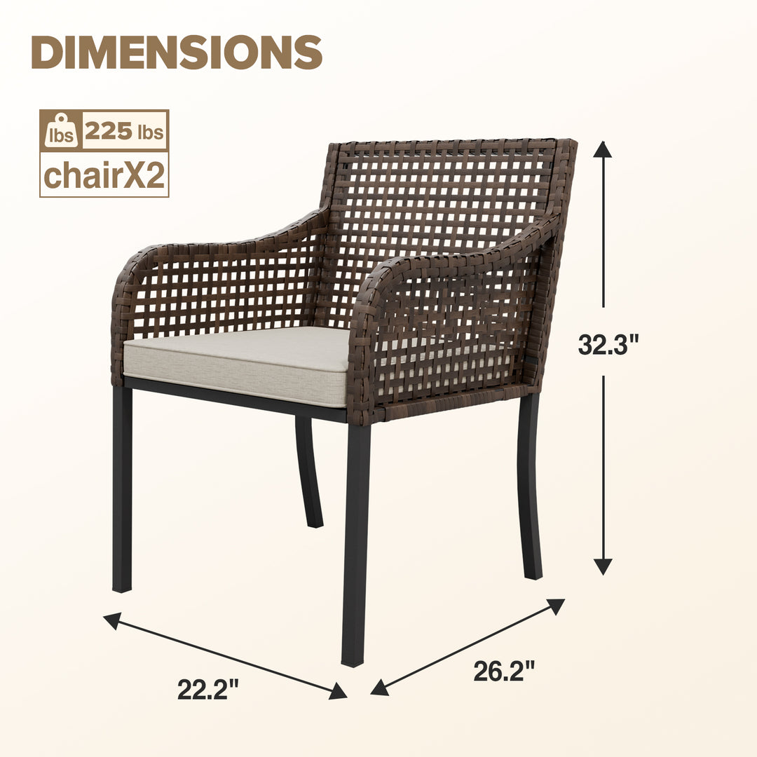 Echo Vibe Outdoor Dining Chairs with Seat Cushions,Set of 2, Brown/Beige