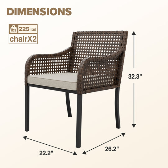 Echo Vibe Outdoor Dining Chairs with Seat Cushions,Set of 2, Brown/Beige