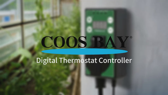 COOS BAY Digital Thermostat Controller