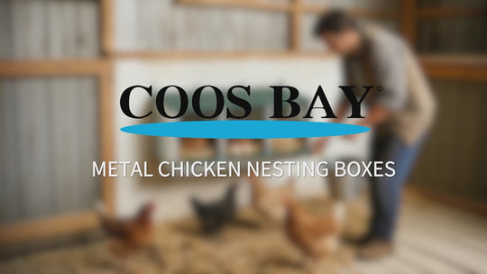 COOS BAY Metal Chicken Nesting Box, Green